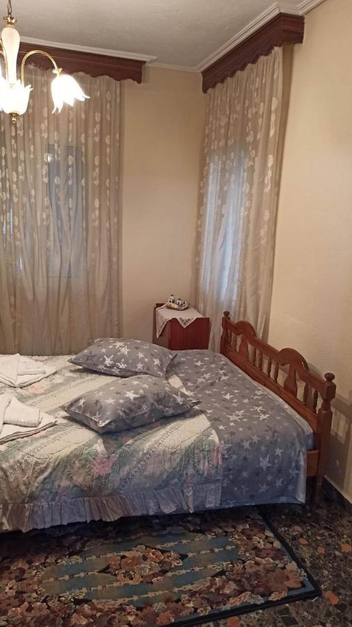Panourgia'S House Apartment Trikala  Exterior photo